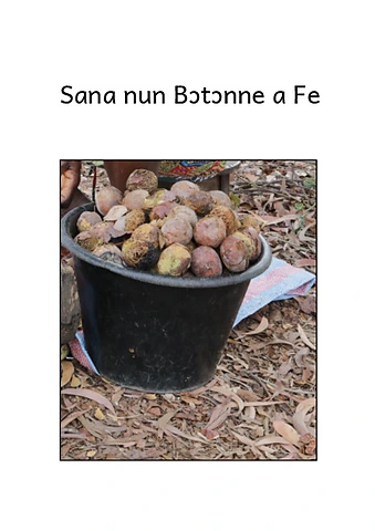 Sana et les Botonnas
