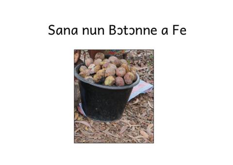 Sana nun Bɔtɔnna a Fe