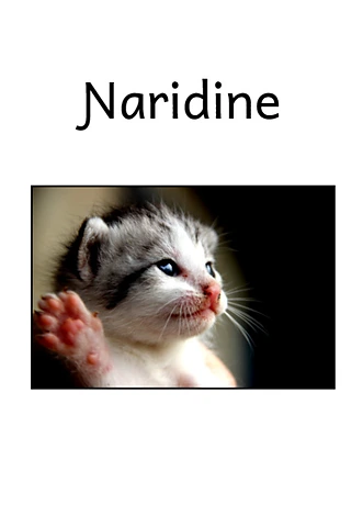 Ɲaridine